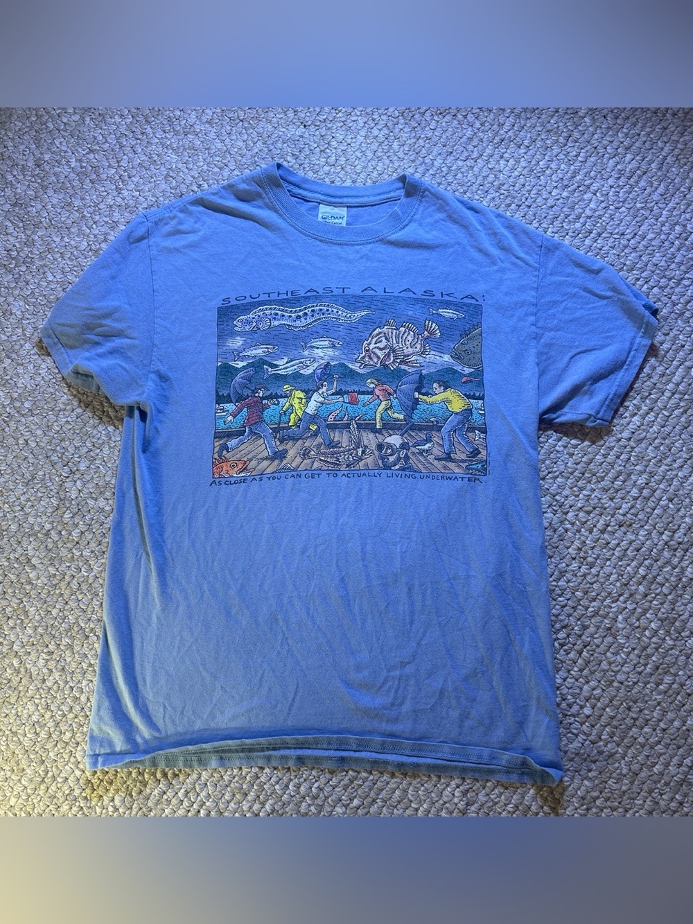 Gildan Blue Southeast Alaska Graphic Tee